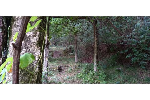 Farm i Fafe, Braga, Fafe - € 380.000 | Ref: Q5033 - foto 36