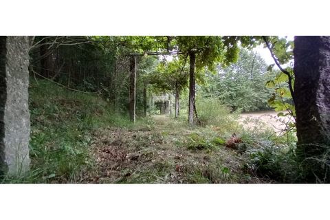 Farm i Fafe, Braga, Fafe - € 380.000 | Ref: Q5033 - foto 37