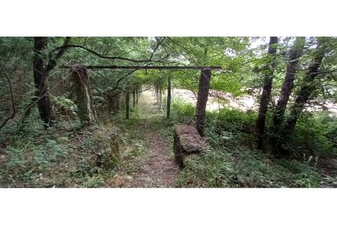 Farm i Fafe, Braga, Fafe - € 380.000 | Ref: Q5033 - foto 38