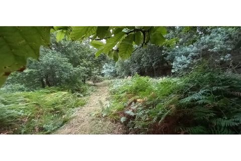Farm i Fafe, Braga, Fafe - € 380.000 | Ref: Q5033 - foto 39