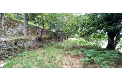 Farm i Fafe, Braga, Fafe - € 380.000 | Ref: Q5033 - foto 40