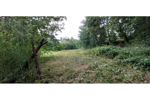 Farm i Fafe, Braga, Fafe - € 380.000 | Ref: Q5033 - foto 42