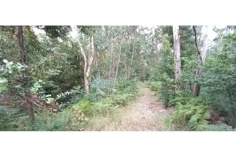 Farm i Fafe, Braga, Fafe - € 380.000 | Ref: Q5033 - foto 44