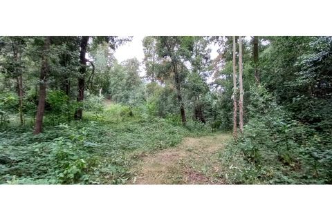 Farm i Fafe, Braga, Fafe - € 380.000 | Ref: Q5033 - foto 45