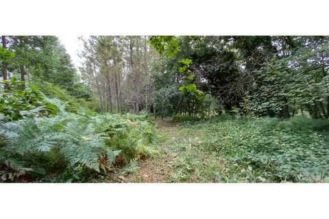 Farm i Fafe, Braga, Fafe - € 380.000 | Ref: Q5033 - foto 46