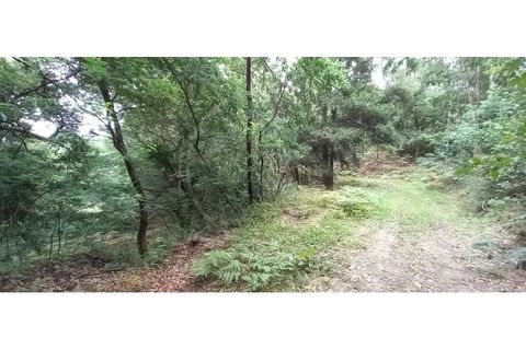 Farm i Fafe, Braga, Fafe - € 380.000 | Ref: Q5033 - foto 47