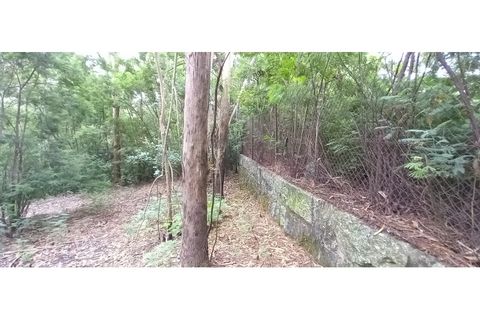 Farm i Fafe, Braga, Fafe - € 380.000 | Ref: Q5033 - foto 48