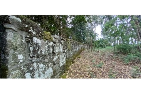 Farm i Fafe, Braga, Fafe - € 380.000 | Ref: Q5033 - foto 49