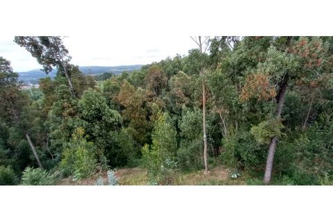 Farm i Fafe, Braga, Fafe - € 380.000 | Ref: Q5033 - foto 50