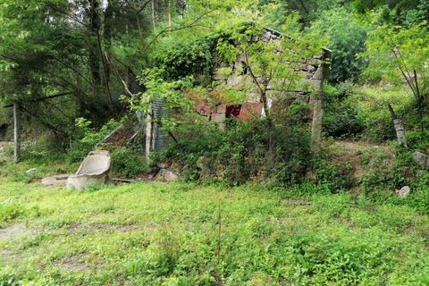 Ruinere i Arcos de Valdevez, Viana do Castelo, Arcos de Valdevez - € 45.000 | Ref: PTL-1006-GV-0421 - foto 1