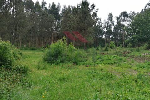 Ruinere i Arcos de Valdevez, Viana do Castelo, Arcos de Valdevez - € 45.000 | Ref: PTL-1006-GV-0421 - foto 3