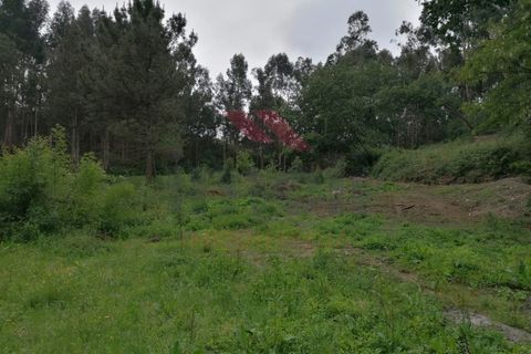 Ruinere i Arcos de Valdevez, Viana do Castelo, Arcos de Valdevez - € 45.000 | Ref: PTL-1006-GV-0421 - foto 5