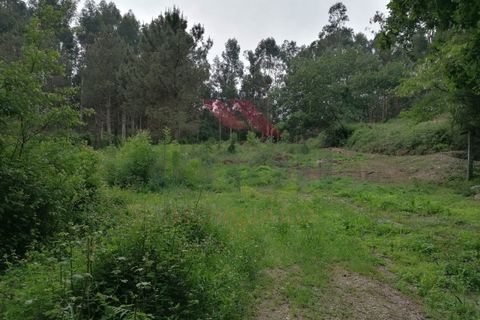 Ruinere i Arcos de Valdevez, Viana do Castelo, Arcos de Valdevez - € 45.000 | Ref: PTL-1006-GV-0421 - foto 7