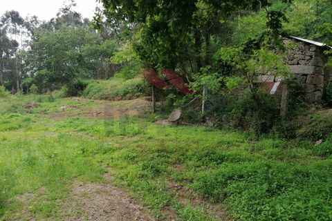 Ruinere i Arcos de Valdevez, Viana do Castelo, Arcos de Valdevez - € 45.000 | Ref: PTL-1006-GV-0421 - foto 8