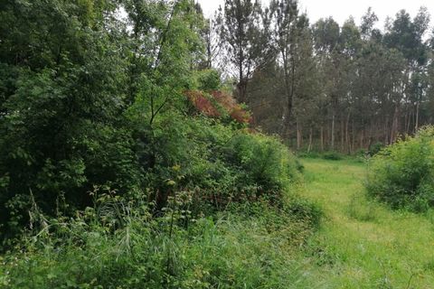 Ruinere i Arcos de Valdevez, Viana do Castelo, Arcos de Valdevez - € 45.000 | Ref: PTL-1006-GV-0421 - foto 9