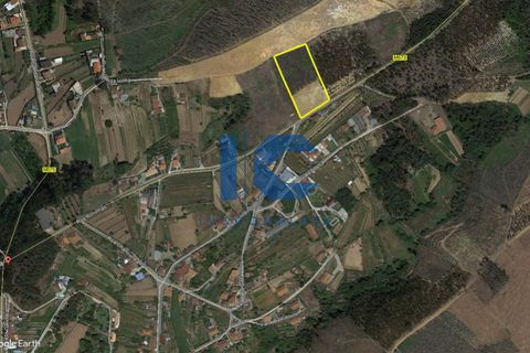 Helårsgrund i Agueda, Aveiro, Agueda - € 55.000 | Ref: 20210800402 - foto 1
