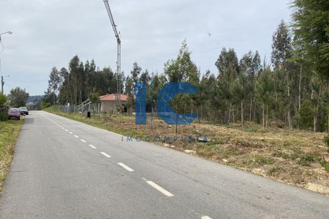 Helårsgrund i Agueda, Aveiro, Agueda - € 55.000 | Ref: 20210800402 - foto 3