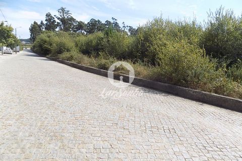 Helårsgrund i Vila do Conde, Porto, Vila do Conde - € 940.000 | Ref: 240-T-22741 - foto 8