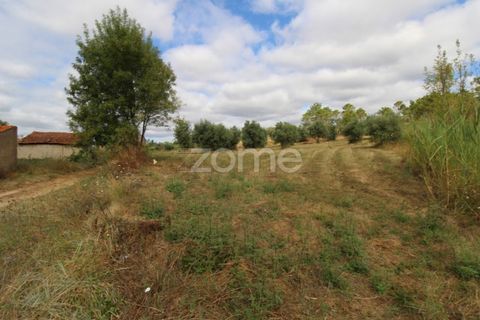 Helårsgrund i Coimbra, Coimbra, Coimbra - € 60.000 | Ref: ZMPT546350 - foto 5