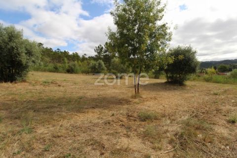Helårsgrund i Coimbra, Coimbra, Coimbra - € 60.000 | Ref: ZMPT546350 - foto 7