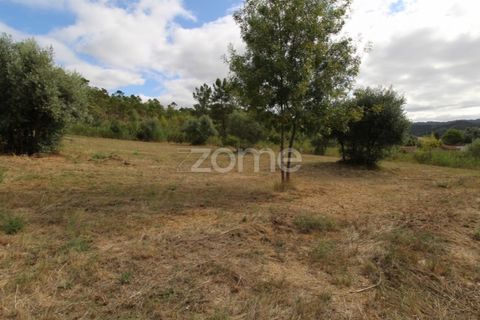 Helårsgrund i Coimbra, Coimbra, Coimbra - € 60.000 | Ref: ZMPT546350 - foto 9