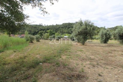 Helårsgrund i Coimbra, Coimbra, Coimbra - € 60.000 | Ref: ZMPT546350 - foto 11