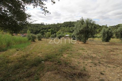 Helårsgrund i Coimbra, Coimbra, Coimbra - € 60.000 | Ref: ZMPT546350 - foto 12
