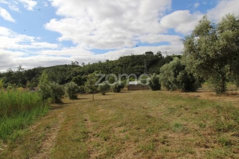 Helårsgrund i Coimbra, Coimbra, Coimbra - € 60.000 | Ref: ZMPT546350 - foto 13