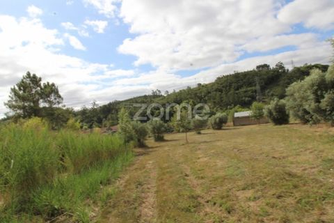 Helårsgrund i Coimbra, Coimbra, Coimbra - € 60.000 | Ref: ZMPT546350 - foto 14