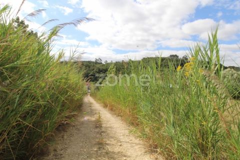 Helårsgrund i Coimbra, Coimbra, Coimbra - € 60.000 | Ref: ZMPT546350 - foto 15