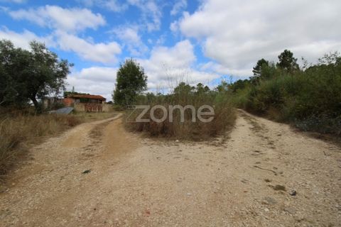 Helårsgrund i Coimbra, Coimbra, Coimbra - € 60.000 | Ref: ZMPT546350 - foto 16