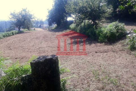 Tomt i Gamil e Midoes, Braga, Gamil e Midoes - € 120 000 | Ref: 272T00770 - foto 5