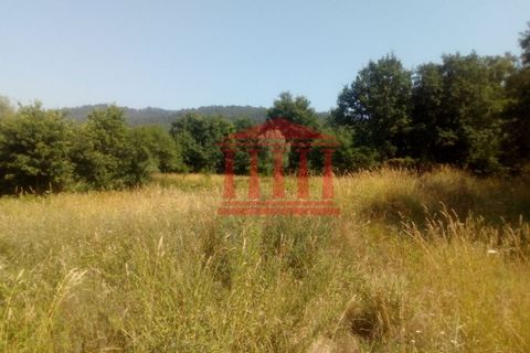 Helårsgrund i Barcelos, Braga, Barcelos - € 120.000 | Ref: 272T00715 - foto 2