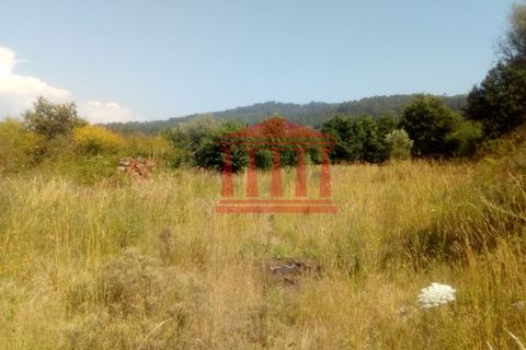Helårsgrund i Barcelos, Braga, Barcelos - € 120.000 | Ref: 272T00715 - foto 4