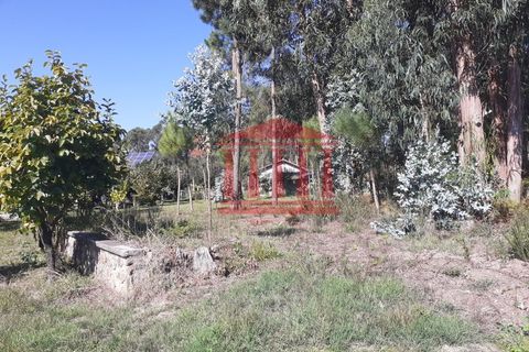 Helårsgrund i Barcelos, Braga, Barcelos - € 750.000 | Ref: 272T00664 - foto 3