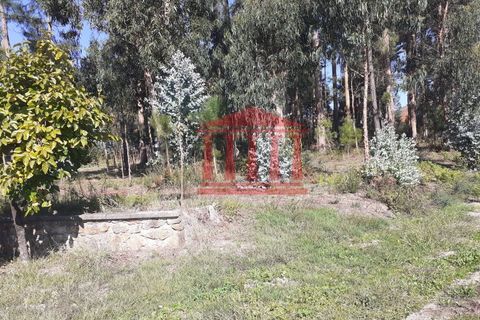 Helårsgrund i Barcelos, Braga, Barcelos - € 750.000 | Ref: 272T00664 - foto 2