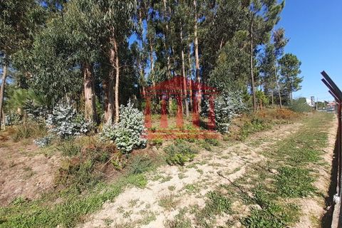 Helårsgrund i Barcelos, Braga, Barcelos - € 750.000 | Ref: 272T00664 - foto 4