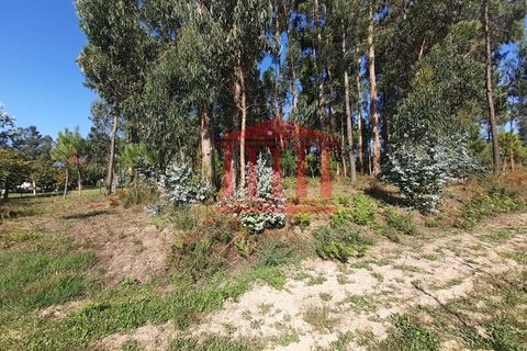 Helårsgrund i Barcelos, Braga, Barcelos - € 750.000 | Ref: 272T00664 - foto 5