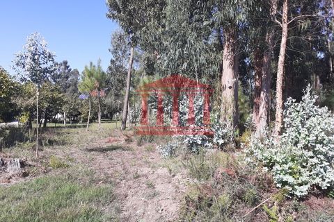 Helårsgrund i Barcelos, Braga, Barcelos - € 750.000 | Ref: 272T00664 - foto 7