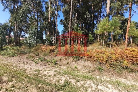 Helårsgrund i Barcelos, Braga, Barcelos - € 750.000 | Ref: 272T00664 - foto 8