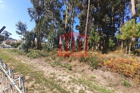 Helårsgrund i Barcelos, Braga, Barcelos - € 750.000 | Ref: 272T00664 - foto 9