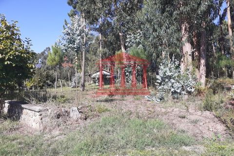 Helårsgrund i Barcelos, Braga, Barcelos - € 750.000 | Ref: 272T00664 - foto 10