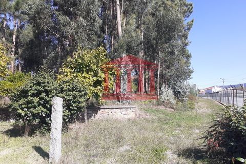 Helårsgrund i Barcelos, Braga, Barcelos - € 750.000 | Ref: 272T00664 - foto 11