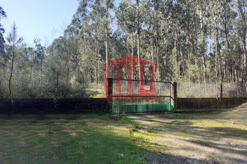 Terra a Vila Cha, Braga, Vila Cha - € 150.000 | Ref: 272T00694 - foto 3