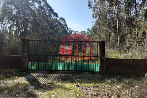 Terra a Vila Cha, Braga, Vila Cha - € 150.000 | Ref: 272T00694 - foto 4