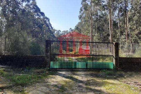 Terra a Vila Cha, Braga, Vila Cha - € 150.000 | Ref: 272T00694 - foto 2