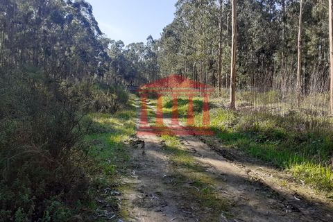 Terra a Vila Cha, Braga, Vila Cha - € 150.000 | Ref: 272T00694 - foto 6
