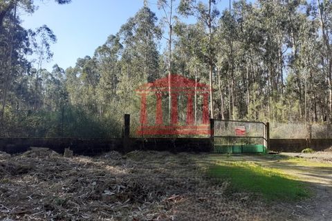 Terra a Vila Cha, Braga, Vila Cha - € 150.000 | Ref: 272T00694 - foto 7