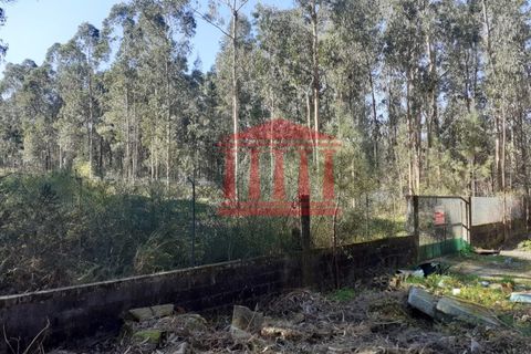 Terra a Vila Cha, Braga, Vila Cha - € 150.000 | Ref: 272T00694 - foto 8