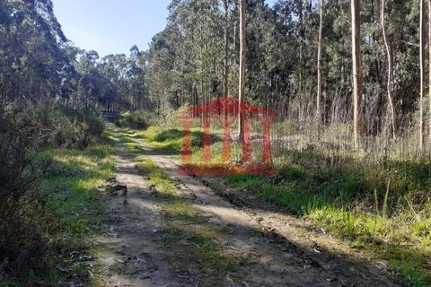 Terra a Vila Cha, Braga, Vila Cha - € 150.000 | Ref: 272T00694 - foto 9